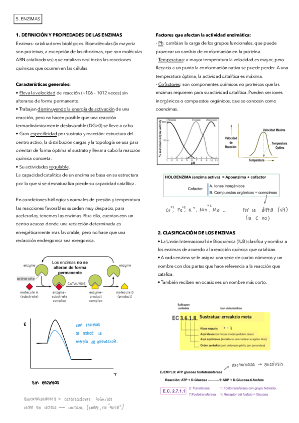 Miniatura del documento 5.pdf