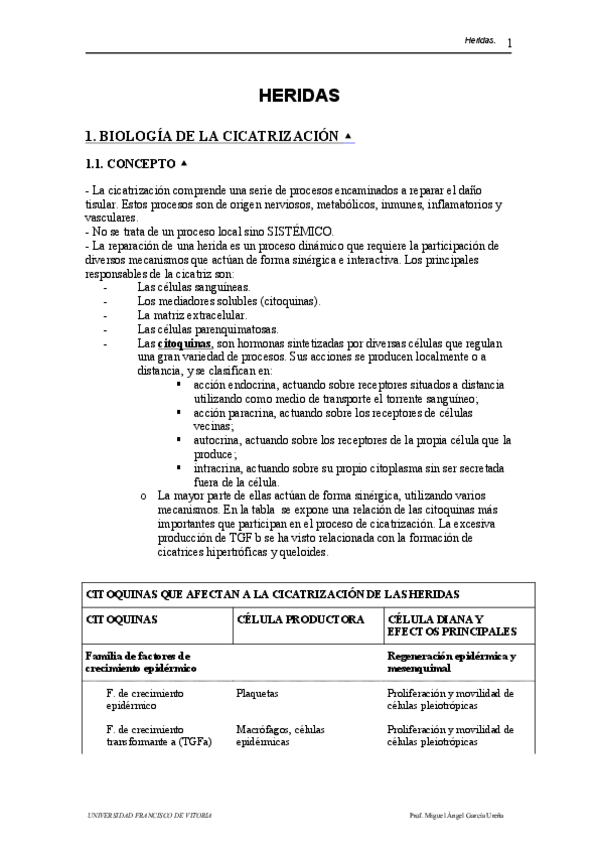 Miniatura del documento heridas-ufv.pdf