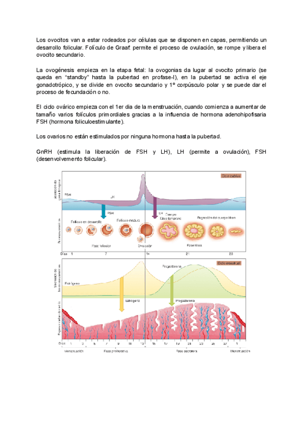 Miniatura del documento Teoria-seminarios.pdf