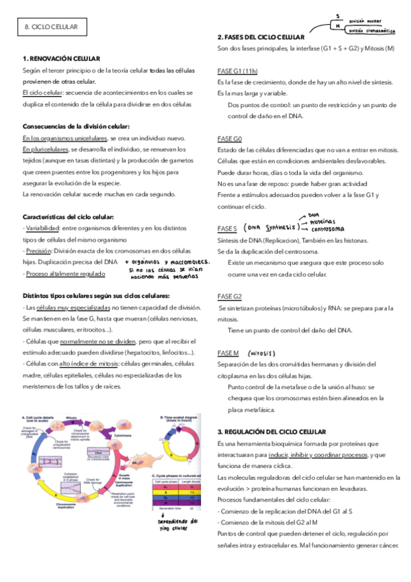 Miniatura del documento 8.pdf