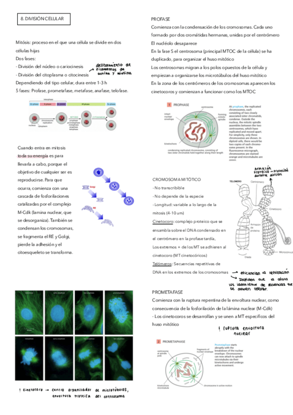 Miniatura del documento 9.pdf