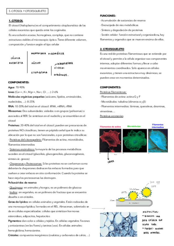 Miniatura del documento 5.pdf