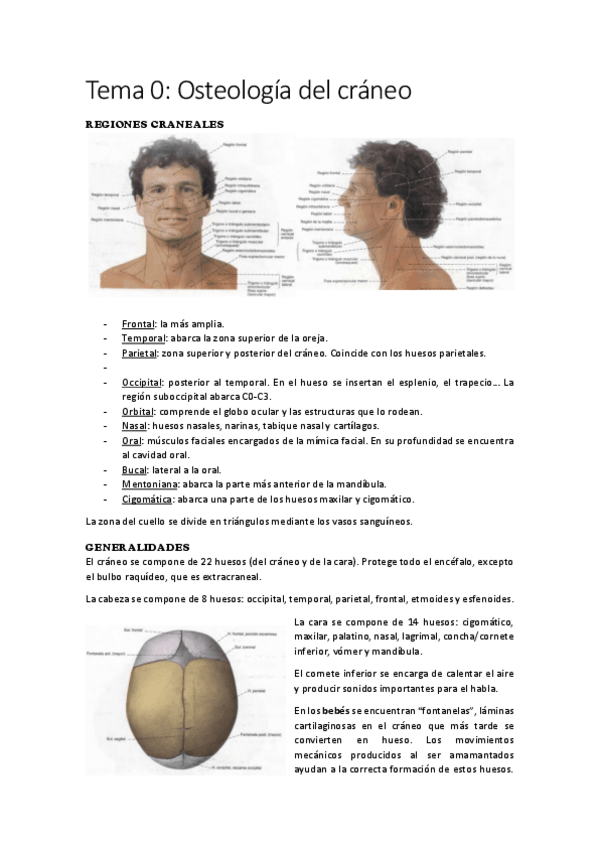 Miniatura del documento Anatomia-II-Todo-el-curso.pdf