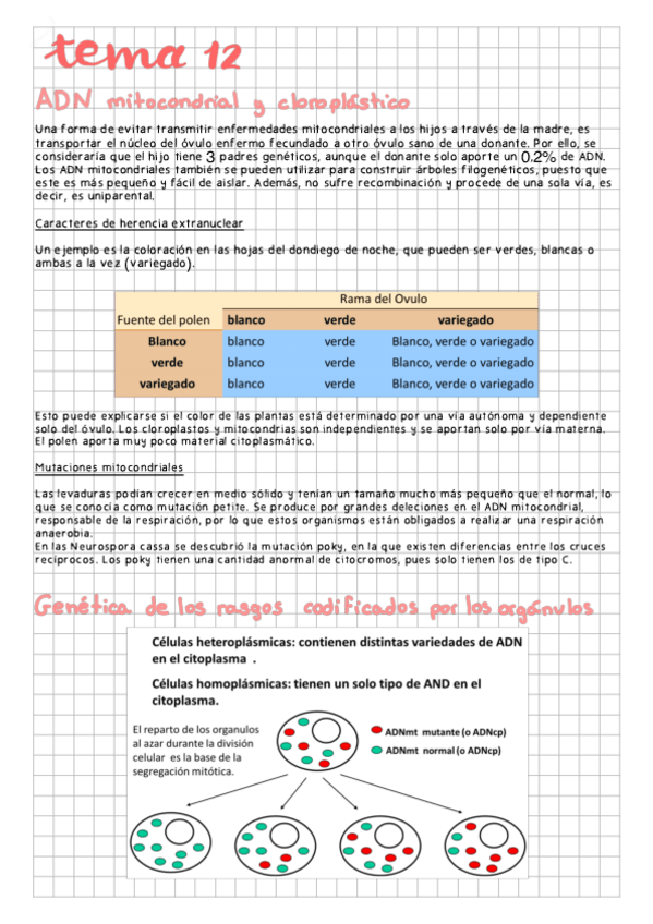 Miniatura del documento Tema-12.pdf