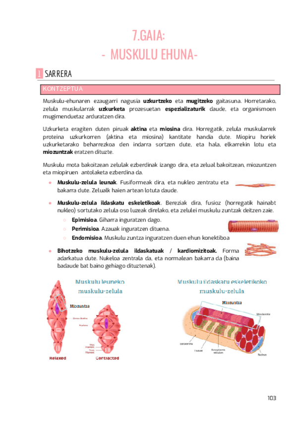 Miniatura del documento 7.pdf