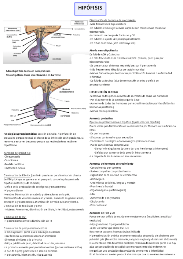 Miniatura del documento Semiologia-de-hipofisis.pdf