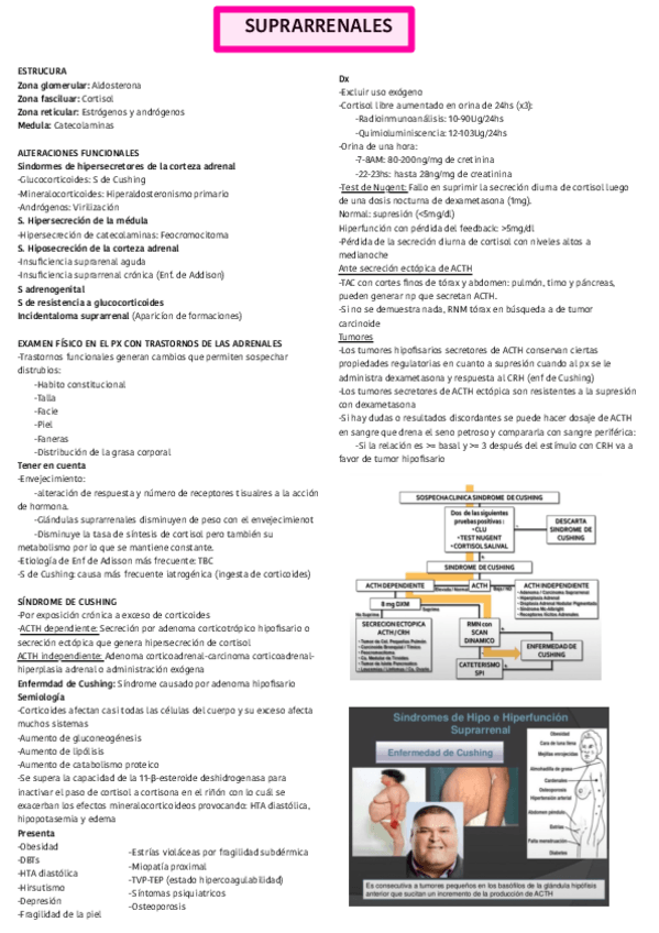 Miniatura del documento Semiologia-Adrenal.pdf