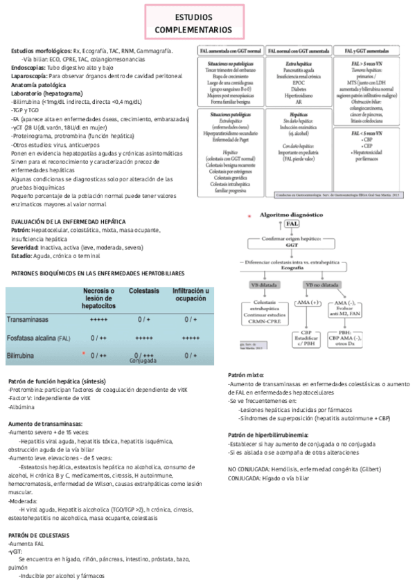 Miniatura del documento Estudios-complementarios-digestivo.pdf