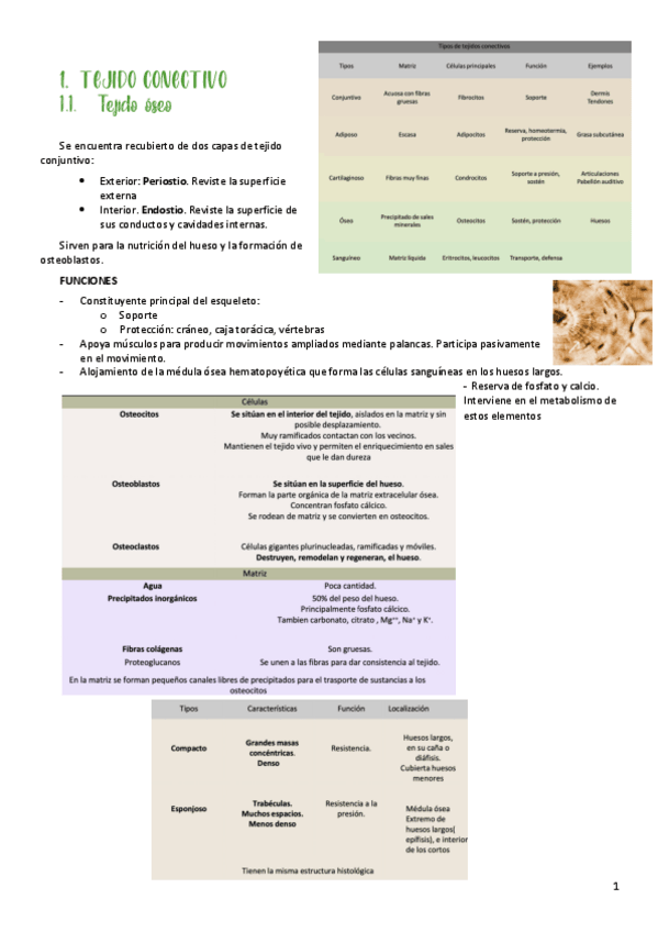 Miniatura del documento Tejidos-2.pdf
