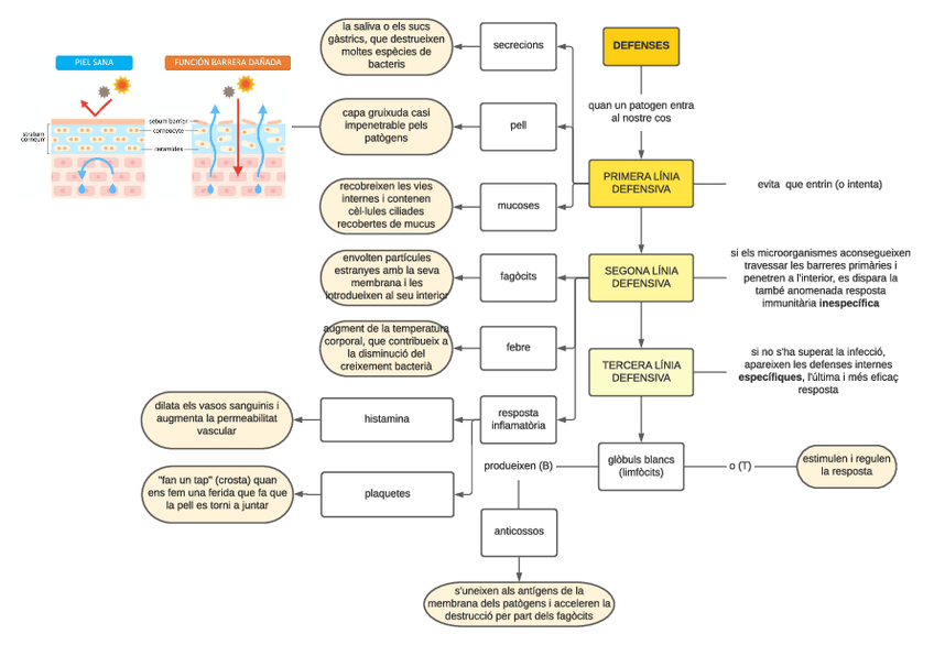 Miniatura del documento MC-Defenses.pdf