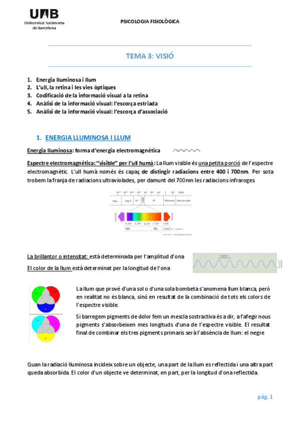 Miniatura del documento FISIO TEMA 3 VISIÓ.pdf