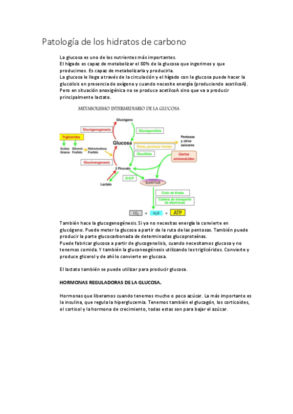 Miniatura del documento Patologia-de-los-hidratos-de-carbono.pdf
