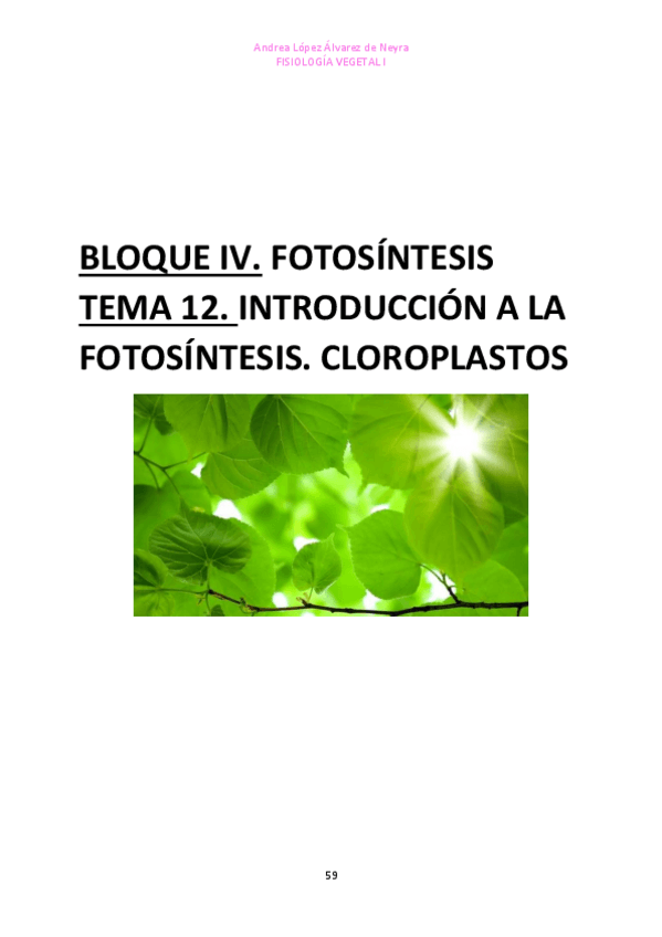 Miniatura del documento TEMA-12-FISIO-VEGETAL-I.pdf