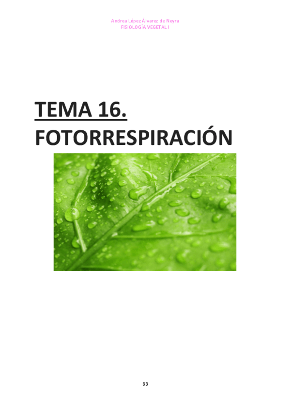 Miniatura del documento TEMA-16-FISIO-VEGETAL-I.pdf