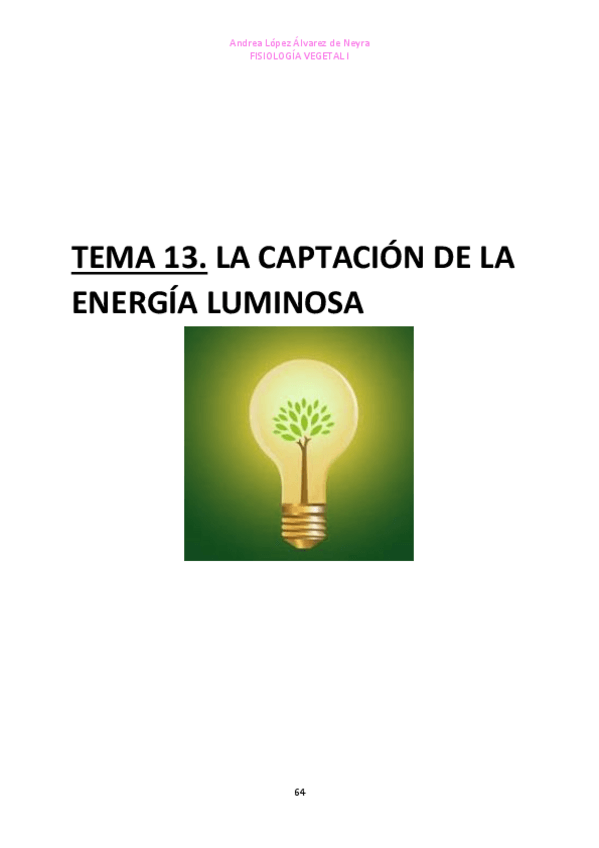 Miniatura del documento TEMA-13-FISIO-VEGETAL-I.pdf