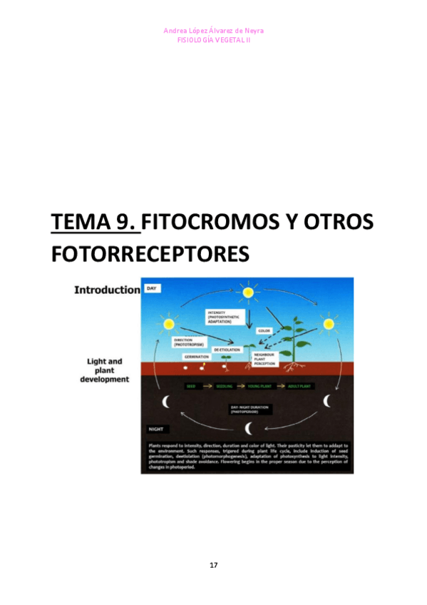 Miniatura del documento TEMA-9.pdf