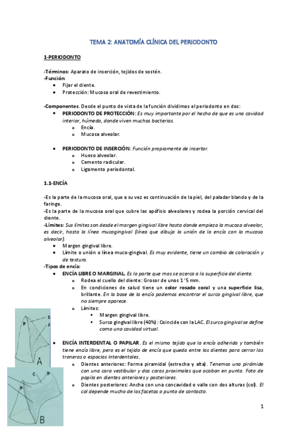 Miniatura del documento TEMA-2.pdf