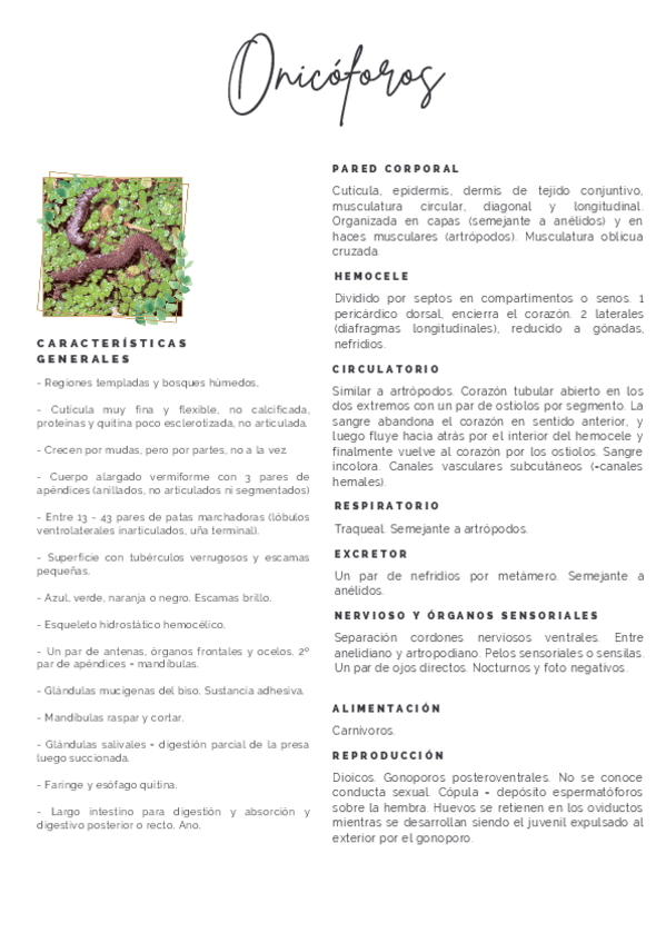 Miniatura del documento Apuntes-Zoologia.pdf