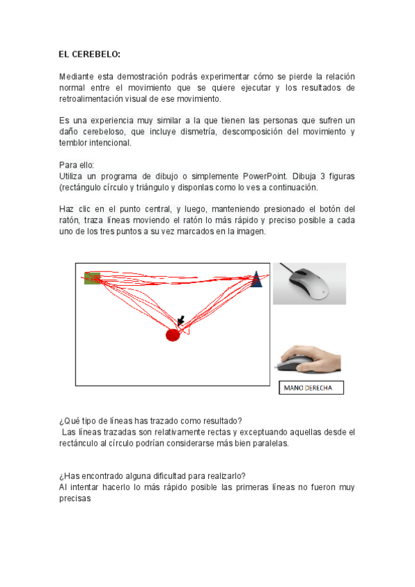 Miniatura del documento DEMO-CEREBELO.pdf