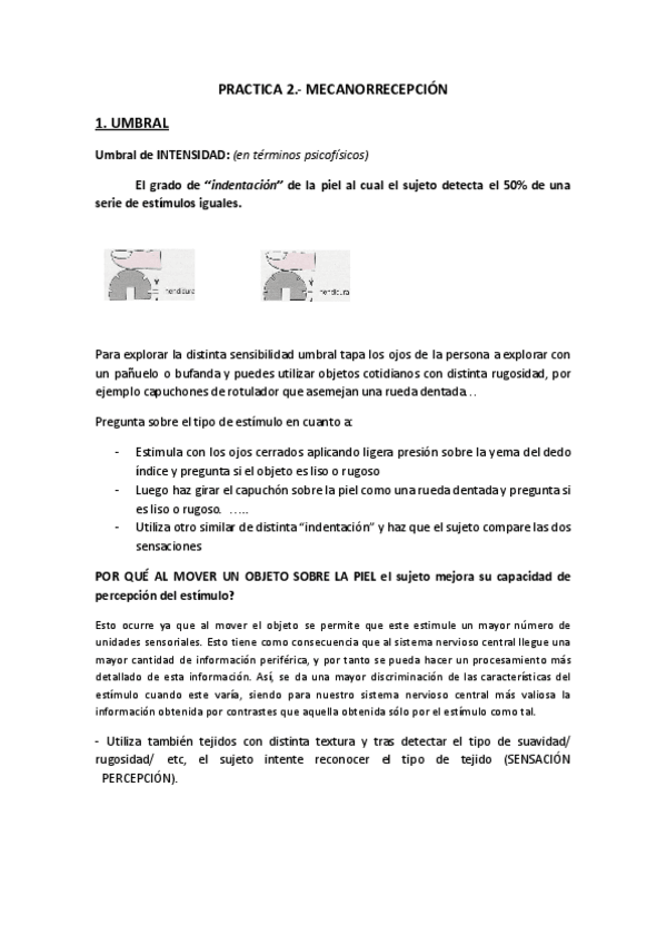 Miniatura del documento PRACTICA-2-MECANORRECEPCION.pdf
