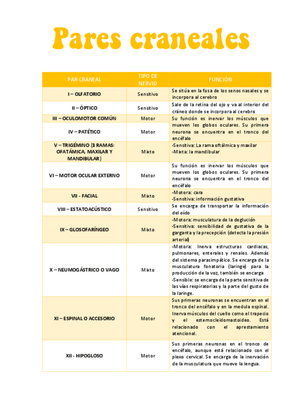 Miniatura del documento Tabla-de-pares-craneales.pdf