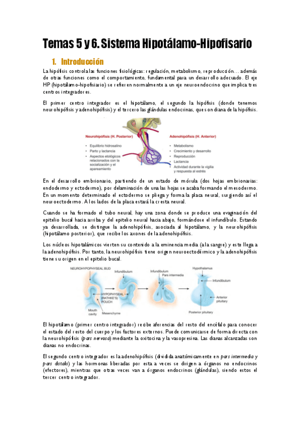 Miniatura del documento Temas-5-y-6.pdf
