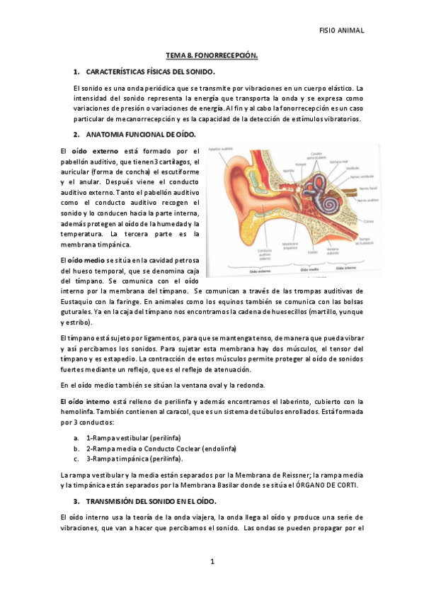 Miniatura del documento TEMA-8a.pdf