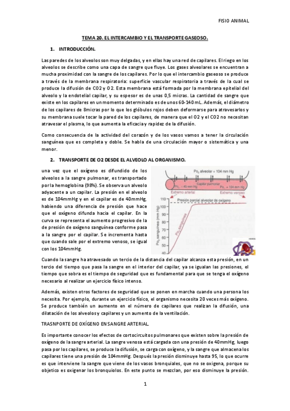 Miniatura del documento TEMA-20.pdf