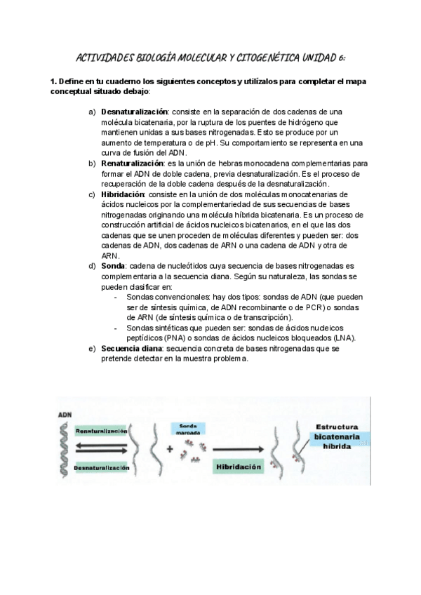 Miniatura del documento ACTIVIDADES-BIOLOGIA-MOLECULAR-Y-CITOGENETICA-UNIDAD-6-1.pdf
