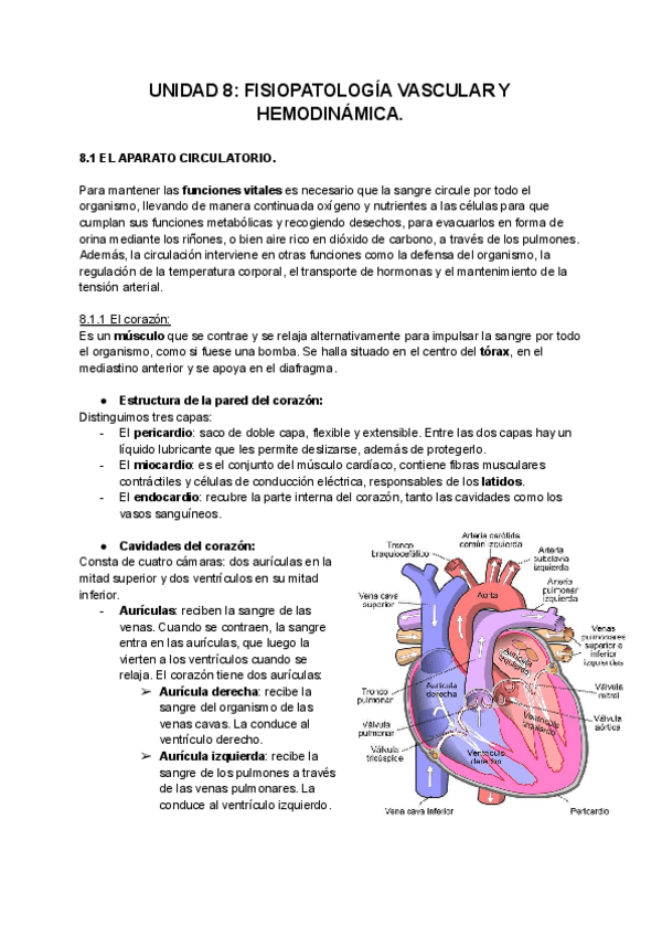 Miniatura del documento UNIDAD-8-FISIOPATOLOGIA-VASCULAR-Y-HEMODINAMICA-1.pdf