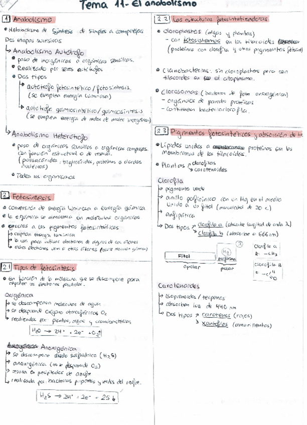 Miniatura del documento Bio2o-T11.pdf