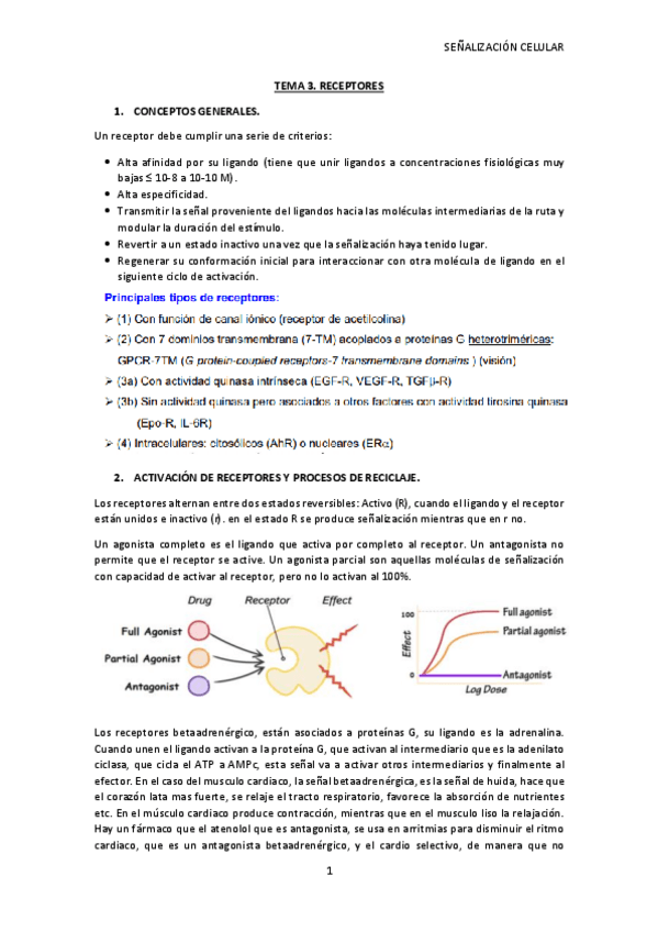 Miniatura del documento TEMA-3-SC.pdf