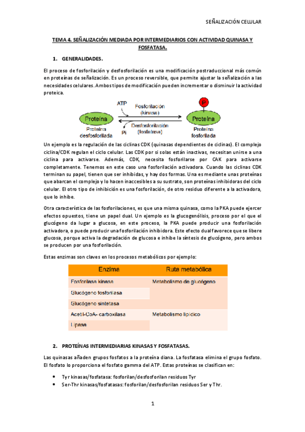 Miniatura del documento TEMA-4-SC.pdf
