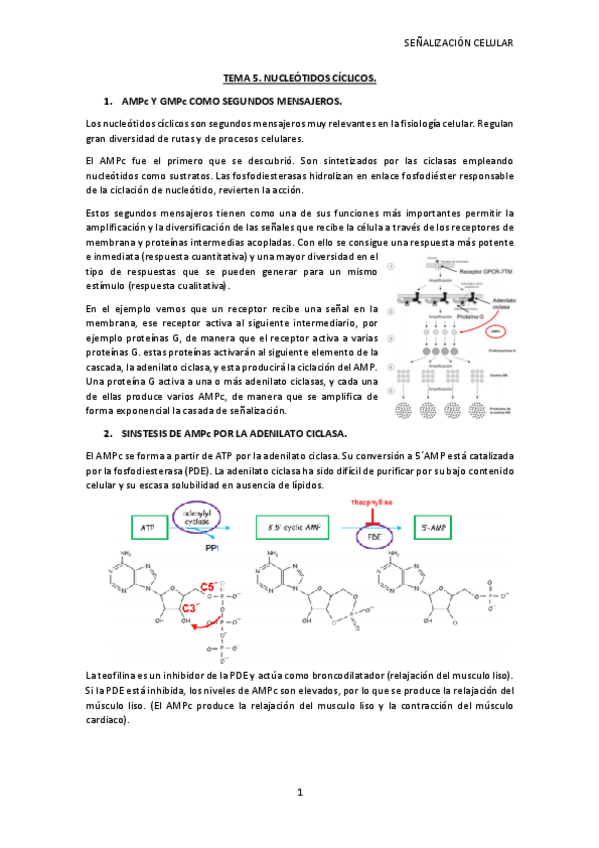 Miniatura del documento TEMA-5-SC.pdf