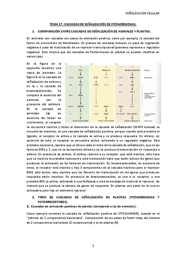 Miniatura del documento TEMA-17-SC.pdf