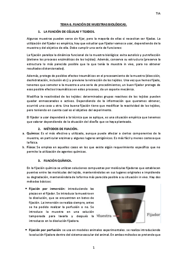 Miniatura del documento TEMA-6-TIA.pdf