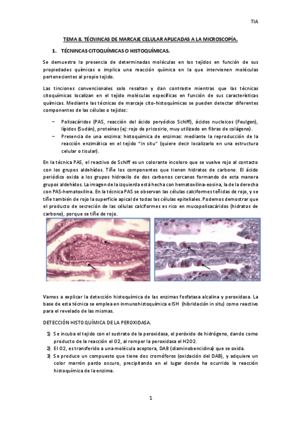 Miniatura del documento TEMA-8-TIA.pdf