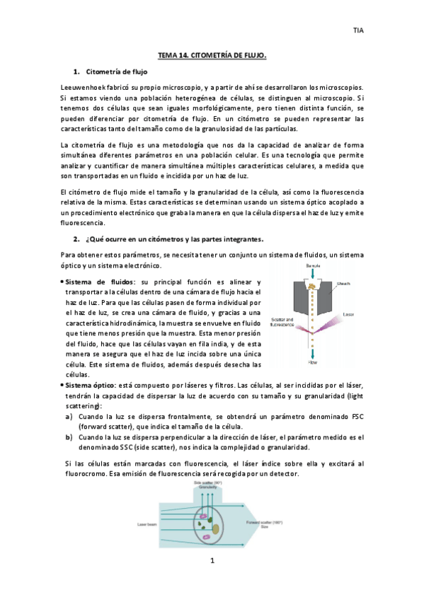 Miniatura del documento TEMA-14-TIA.pdf
