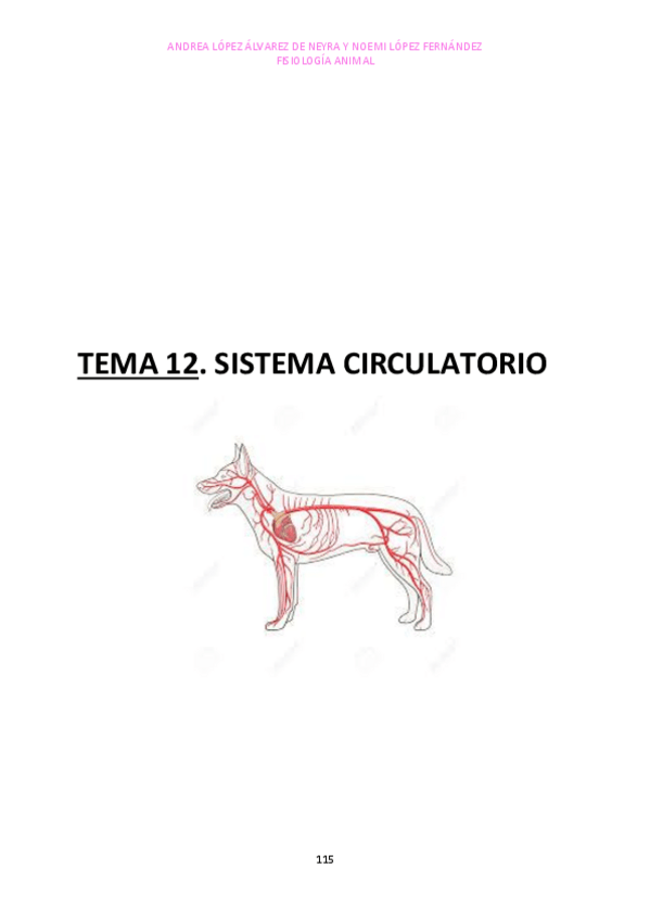 Miniatura del documento TEMA-12.pdf