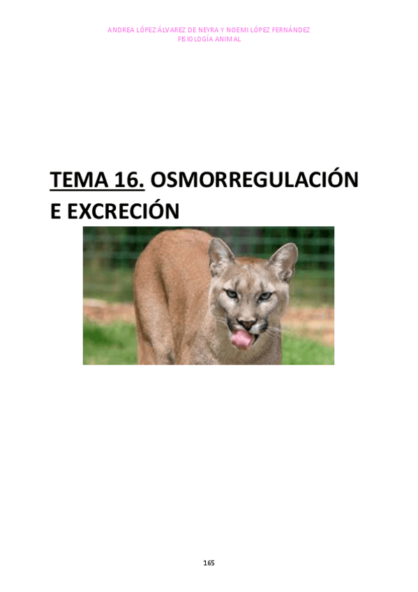 Miniatura del documento TEMA-16.pdf