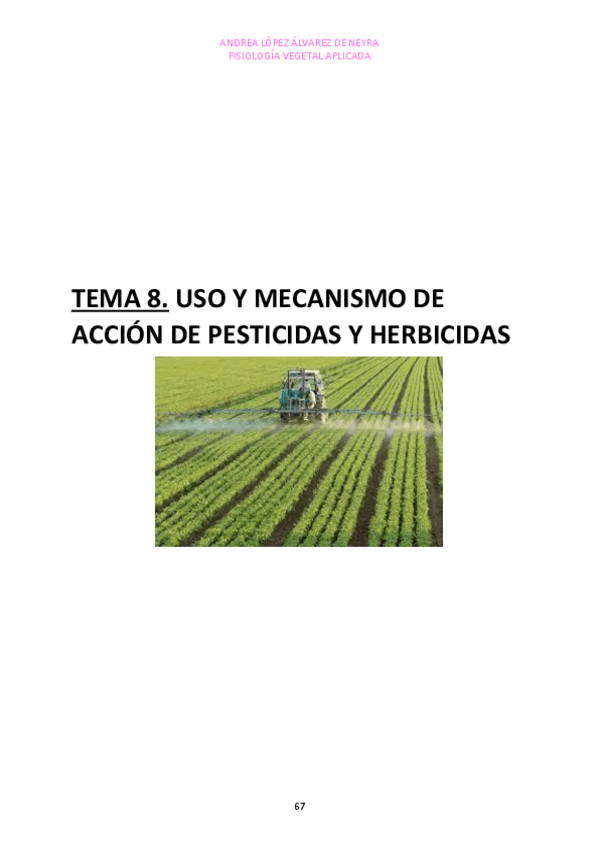 Miniatura del documento TEMA-8.pdf