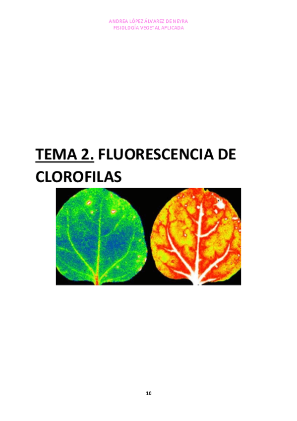 Miniatura del documento TEMA-2.pdf