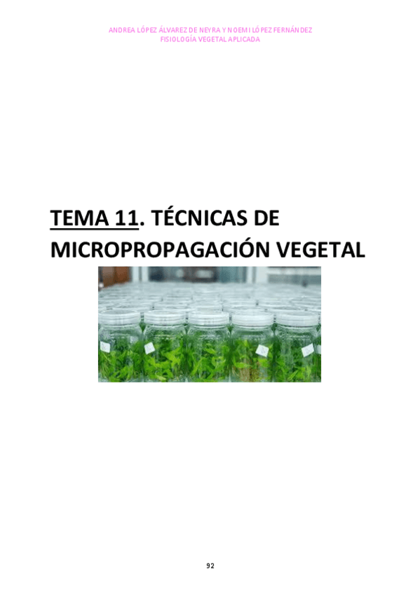 Miniatura del documento TEMA-11.pdf