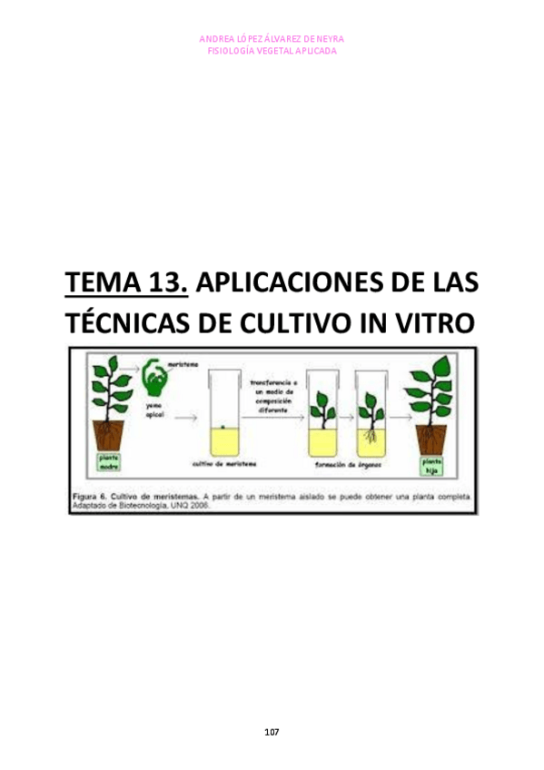 Miniatura del documento TEMA-13.pdf