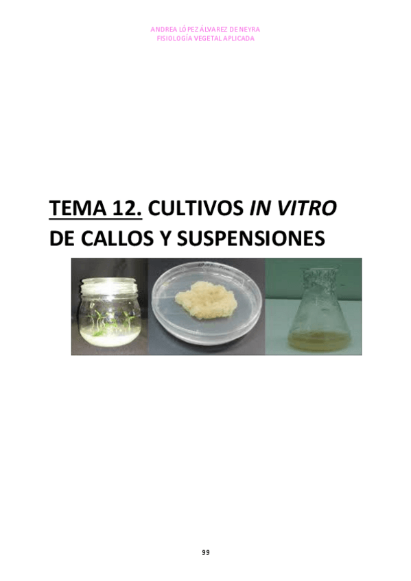 Miniatura del documento TEMA-12.pdf