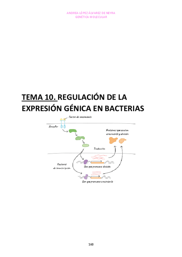 Miniatura del documento TEMA-10.pdf