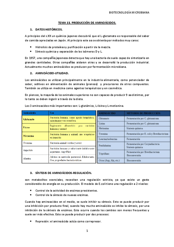 Miniatura del documento TEMA-13-BM.pdf