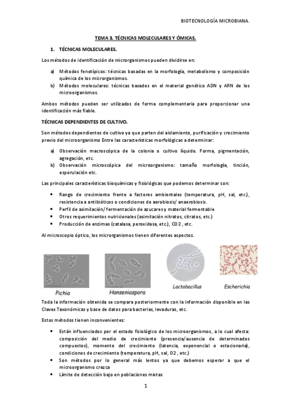 Miniatura del documento TEMA-3-BM.pdf