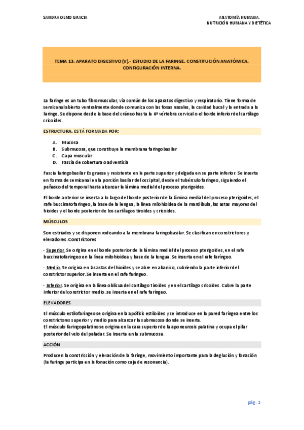 Miniatura del documento TEMA 13.pdf