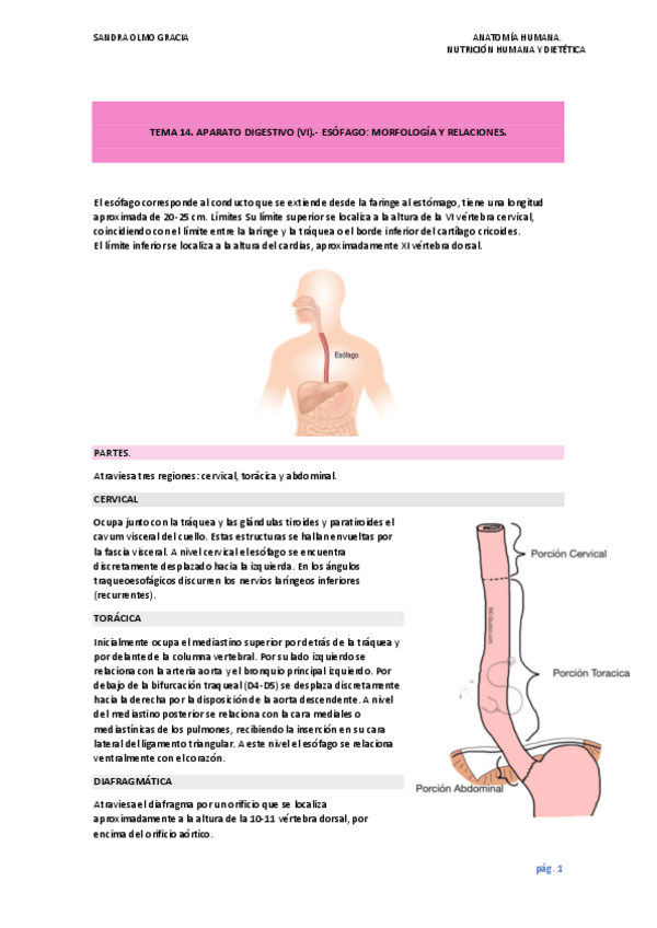 Miniatura del documento TEMA 14.pdf